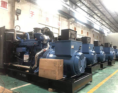 国内某养殖项目指定批量采用CQ9传奇电子500KW/400V陆用发电机