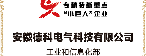 「小巨人 大分量」| CQ9传奇电子电气荣获“国家专精特新重点小巨人企业”称号！