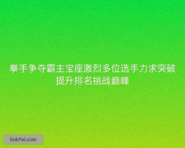拳手争夺霸主宝座激烈多位选手力求突破提升排名挑战巅峰