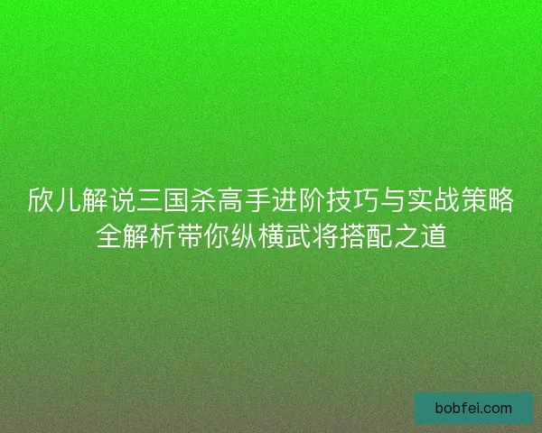 欣儿解说三国杀高手进阶技巧与实战策略全解析带你纵横武将搭配之道