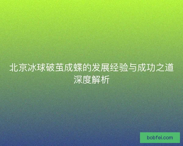 北京冰球破茧成蝶的发展经验与成功之道深度解析